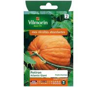 Vilmorin Potiron Atlantic Giant