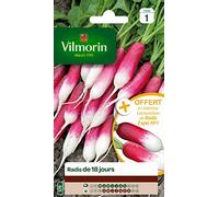 Vilmorin – Graines Radis de 18 Jours – Échantillon Radis Expo HF1 offert