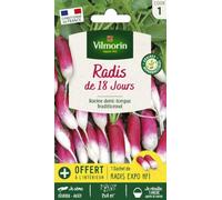 Vilmorin Radis de 18 jours | Jardin, Légumes, Graines, Semence, Radis
