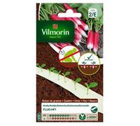 Vilmorin Radis Fluo HF1 - Ruban de graines - 5 m