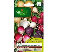 Vilmorin Radis Ronds Mélange de Couleurs