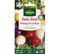 Vilmorin Radis Ronds Mélange de Couleurs | Radis, Graines, Semences, Jardin, Potager, Mélange, Exposition, Mi-ombre