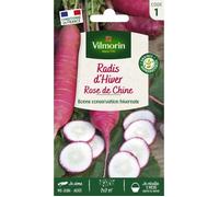 Vilmorin Radis Rose d'Hiver de Chine