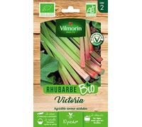 Vilmorin - Rhubarbe Victoria Bio - Agréable saveur acidulée -Semences Issues d'une Culture Conforme aux règles de l'agriculture Biologique - Plante Rustique - très Bonne qualité gustative