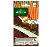 Vilmorin Ruban Carottes HF1