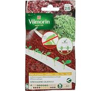 Vilmorin Ruban Duo de Laitues a Couper | Résistantes aux maladies, 2 x 2m
