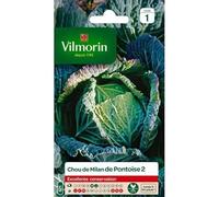 Vilmorin - Sachet de graines Chou de Milan de Pontoise 2