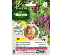 Vilmorin - Sachet de graines Mélanges de Fleurs pour Cochon d'Inde 10m²