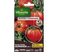 Vilmorin - Sachet de Graines Tomate Gourmandia HF1- Saveur et Résistance au Jardin