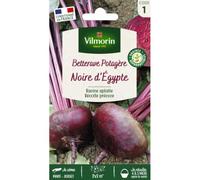 Vilmorin - Sachet graines Betterave d'Egypte