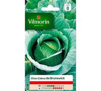 Vilmorin - Sachet graines Chou Pommé de Brunswick