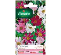 Vilmorin Sachet graines Cosmos Aldebaran