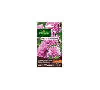 Vilmorin - Sachet graines Cosmos double click rose bonbon
