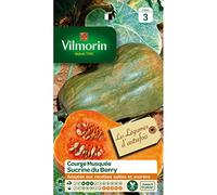 Vilmorin - Sachet graines Courge Sucrine du Berry