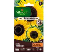 VILMORIN Sachet graines de fleurs Tournesol Soleil WAOOH !