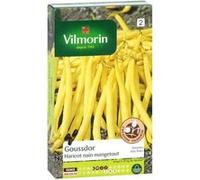 vilmorin sachet graines de haricot nain mangetout goussdor G