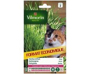 vilmorin sachet graines d'herbe a chat orge G
