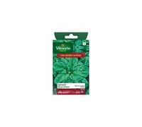Vilmorin - Sachet graines Epinard geant d'hiver