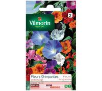 Vilmorin Sachet graines Fleurs grimpantes en mélange