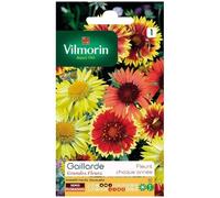 Vilmorin Sachet graines Gaillarde Grandes fleurs