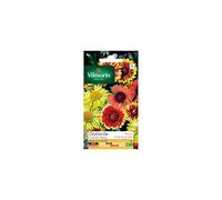 Vilmorin - Sachet graines Gaillarde Grandes fleurs