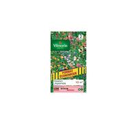 Vilmorin - Sachet graines Gazon Japonais surface 10m²