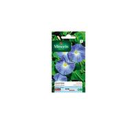 Vilmorin - Sachet graines Ipomée Géante bleue