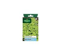 Vilmorin - Sachet graines Laitue à couper Feuille de Chêne blonde graines noires