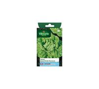 Vilmorin - Sachet graines Laitue Grosse blonde paresseuse