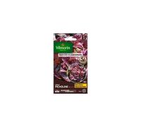 Vilmorin - Sachet graines Laitue Picholine pommée