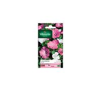 Vilmorin - Sachet graines Lavatère à grande fleur variée
