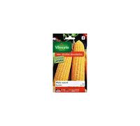 Vilmorin - Sachet graines Maïs sucré Rustler