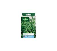 Vilmorin - Sachet graines Marjolaine ordinaire