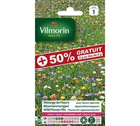 Vilmorin - Sachet graines Mélange de fleurs pour Gazon Japonais +50% GRATUIT