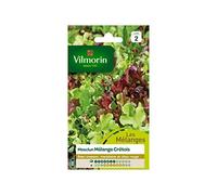 Vilmorin - Sachet graines Mesclun Mélange Crétois