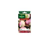 Vilmorin - Sachet graines Navet rave d'auvergne tardif