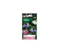Vilmorin - Sachet graines Nigelle de Damas
