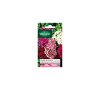 Vilmorin - Sachet graines Oeillet de poète double pationata varié