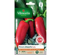 Vilmorin - Sachet graines piment Jalapeño