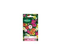 Vilmorin - Sachet graines Pourpier double varié