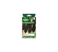 Vilmorin - Sachet graines Radis noir long poids d'horloge