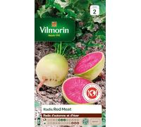 Vilmorin - Sachet graines Radis Red Meat