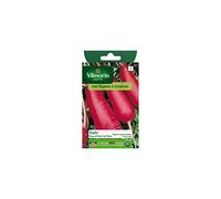 Vilmorin - Sachet graines Radis rose d'hiver de chine