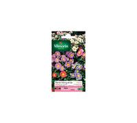 Vilmorin Sachet graines Reine Marguerite Madeleine variée