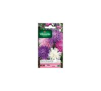 Vilmorin - Sachet graines Reine marguerite plume d'autruche variée