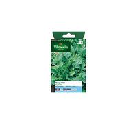 Vilmorin - Sachet graines Roquette cultivée