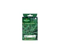 Vilmorin - Sachet graines Roquette sauvage