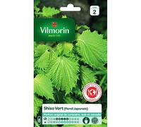 Graine - Vilmorin - Shiso Vert - Cuisine du Monde
