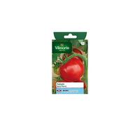 Vilmorin - Sachet graines Tomate Saint Pierre