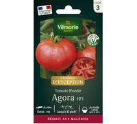 Vilmorin Tomate Agora F1 - Graines d'Exception